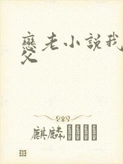 恋老小说我的岳父