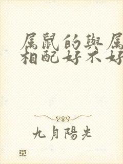 属鼠的与属狗的相配好不好