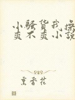 小骚货我操的你爽不爽小说