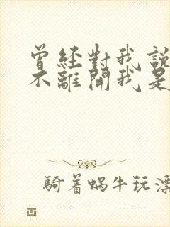 曾经对我说永远不离开我是什么歌