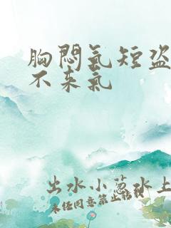 胸闷气短盗汗上不来气