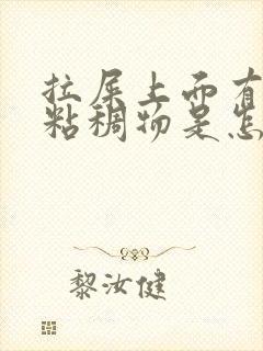 拉屎上面有白色粘稠物是怎么回事