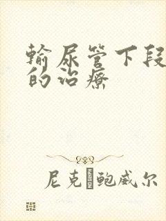 输尿管下段结石的治疗