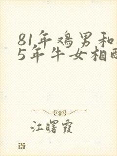 81年鸡男和85年牛女相配婚姻如何
