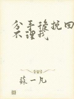 分手后挽回男友不理我