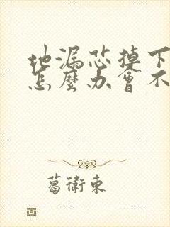 地漏芯掉下水道怎么办会不会堵塞