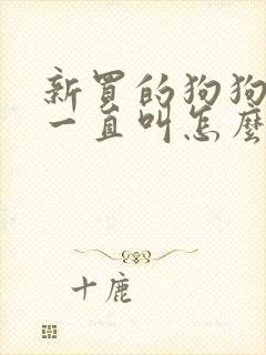 新买的狗狗晚上一直叫怎么办