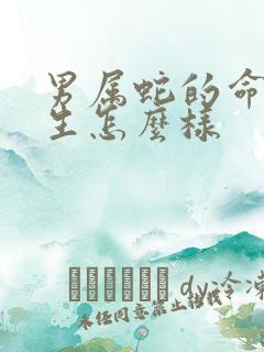 男属蛇的命运一生怎么样