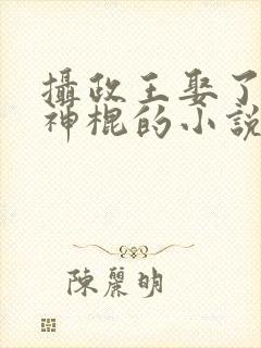 摄政王娶了个小神棍的小说