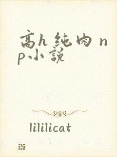 高h 纯肉 np小说