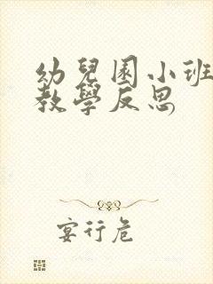 幼儿园小班5月教学反思