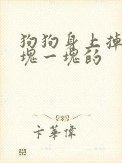 狗狗身上掉皮一块一块的