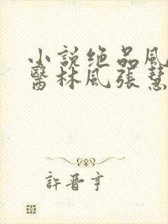 小说绝品风流狂医林风张慧作者