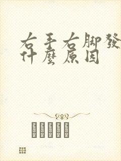 右手右脚发麻是什么原因