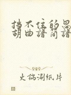 挡不住的思念二胡曲谱简谱