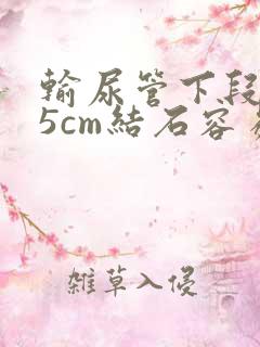 输尿管下段0.5cm结石容易排出吗