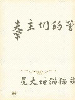 夫主们的管教日常