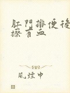 肛门排便后用纸擦有血