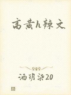 高黄h辣文