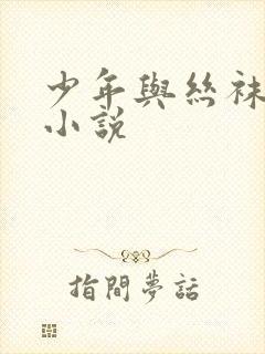 少年与丝袜熟女小说