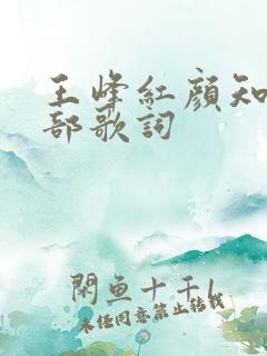 王峰红颜知己全部歌词