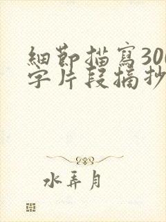 细节描写300字片段摘抄