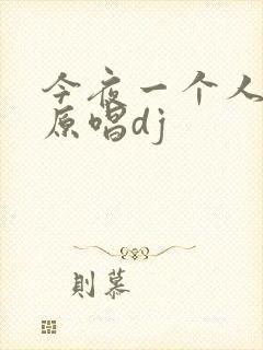 今夜一个人醉的原唱dj