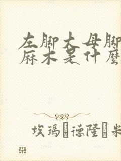 左脚大母脚趾头麻木是什么原因