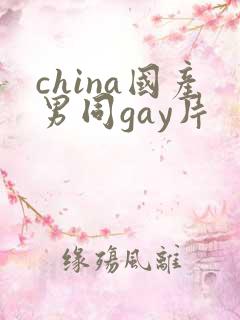 china国产男同gay片