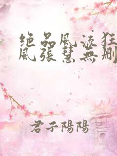 绝品风流狂医林风张慧无删减阅读全文