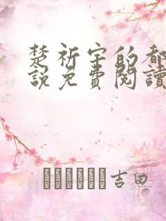 楚祈宇的都市小说免费阅读全文