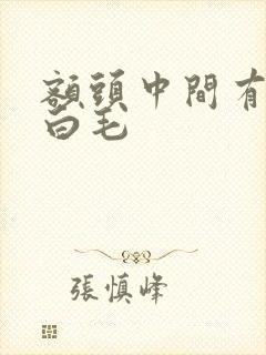 额头中间有一根白毛