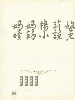 妈妈杨莉姐姐刘晴的小说免费阅读