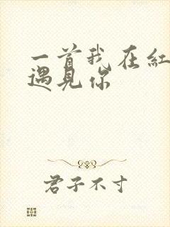 一首我在红尘中遇见你
