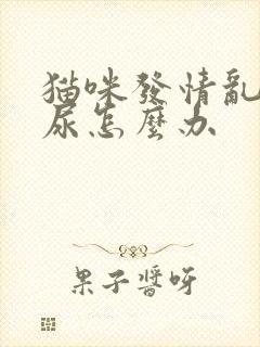 猫咪发情乱拉乱尿怎么办