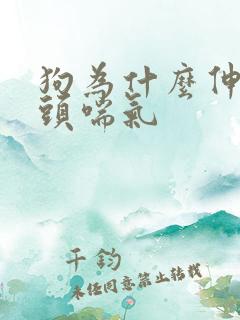 狗为什么伸着舌头喘气