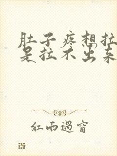 肚子疼想拉屎但是拉不出来是什么原因