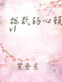 总裁的心头宝1v1