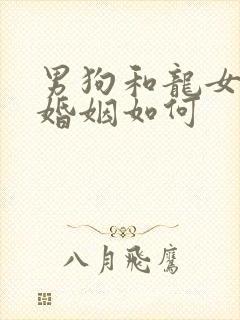 男狗和龙女相配婚姻如何