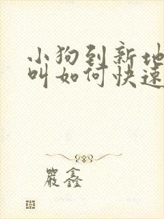 小狗到新地方乱叫如何快速让它不叫