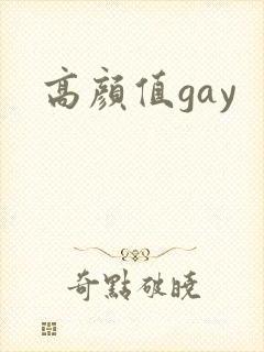 高颜值gay