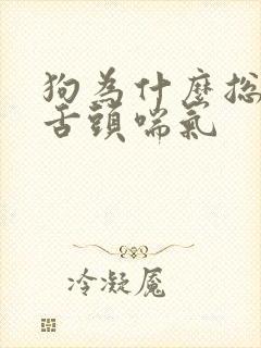 狗为什么总伸着舌头喘气