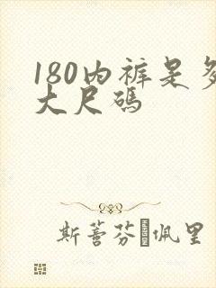 180内裤是多大尺码