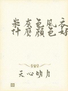 米灰色风衣内搭什么颜色好看