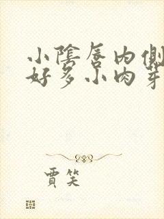 小阴唇内侧长了好多小肉芽一样的