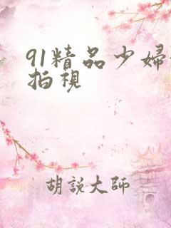 91精品少妇偷拍视