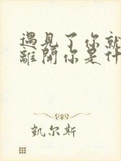 遇见了你就不该离开你是什么歌