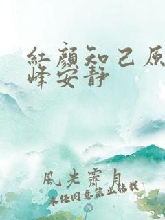 红颜知己原唱王峰安静