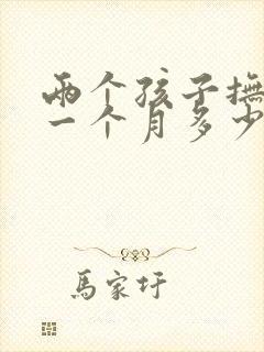 两个孩子抚养费一个月多少钱