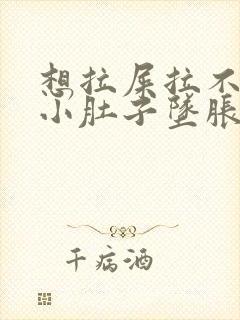 想拉屎拉不出来小肚子坠胀怎么办